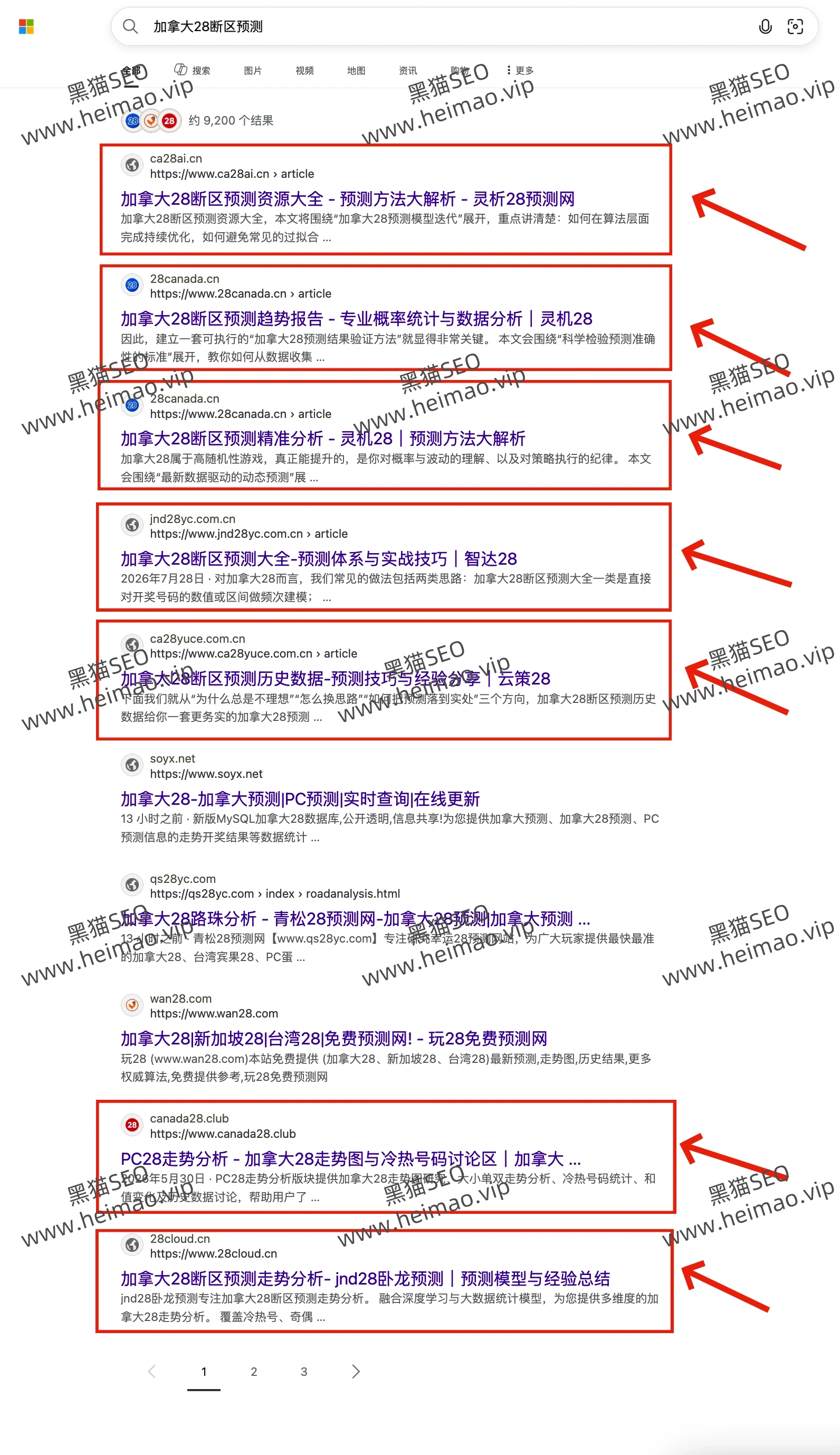 单站排名案例01:必应核心词首页排名截图