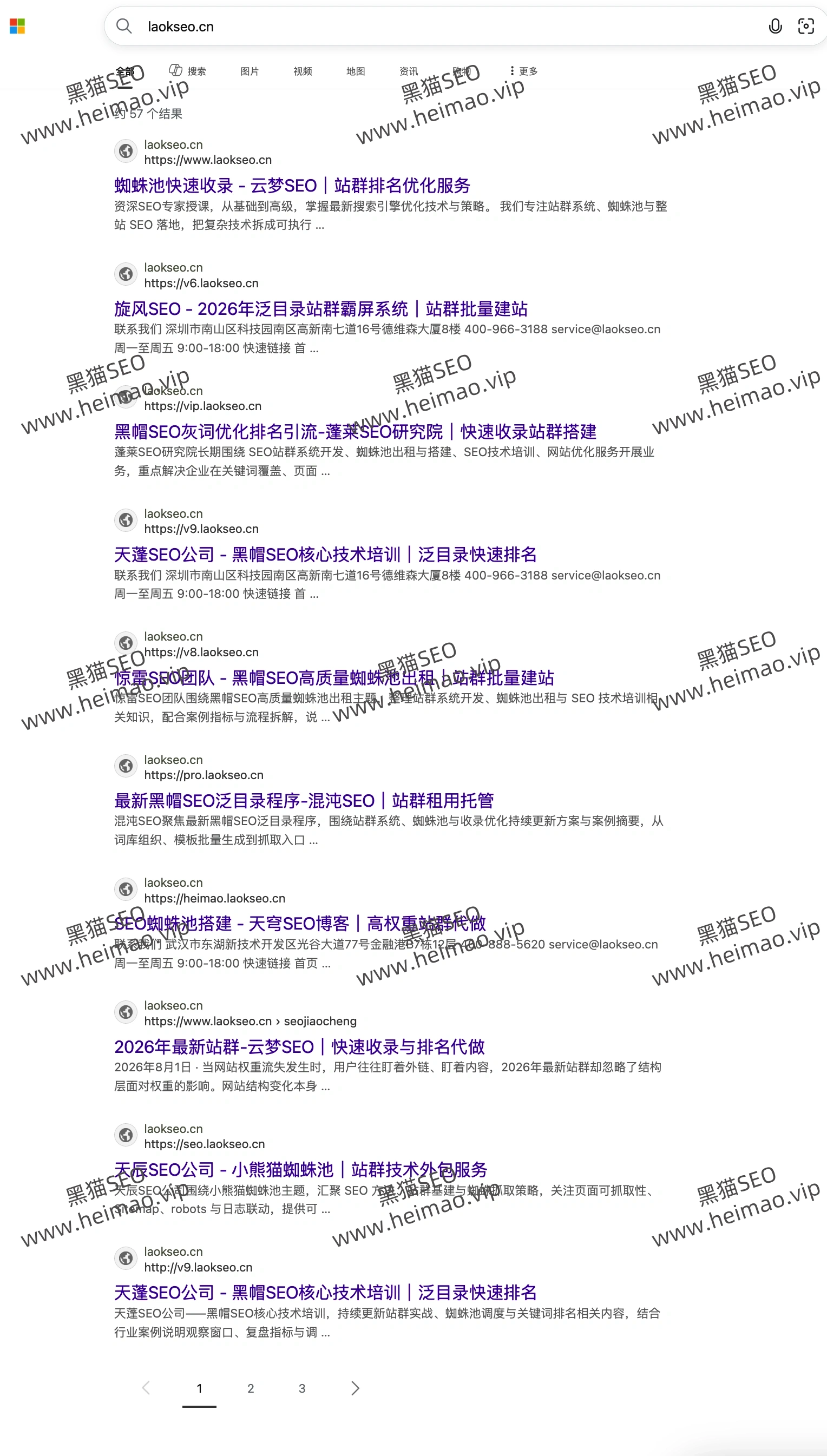 蜘蛛池案例01:必应收录提速与抓取频率提升截图