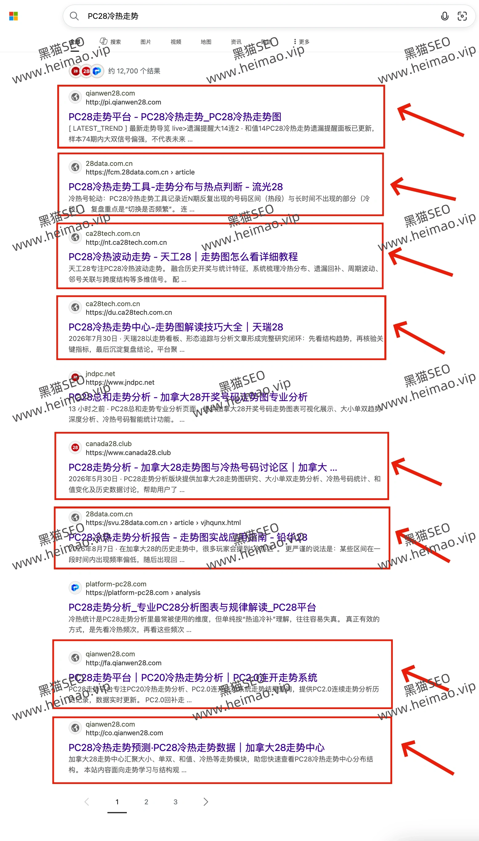 站群排名案例08:必应站群收录与排名对照截图